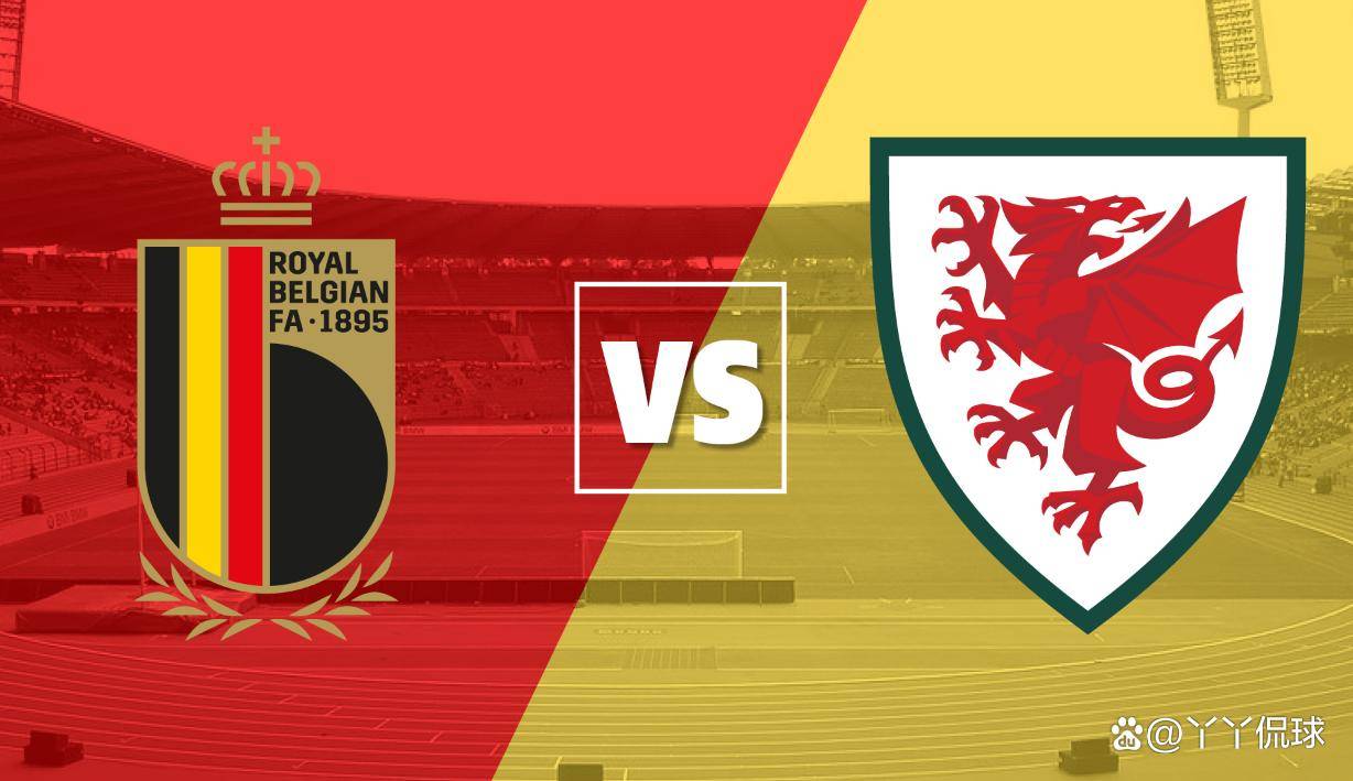 关于波兰力压比利时,取得关键胜利!的信息 关于波兰力压比利时,取得关键胜利!的信息